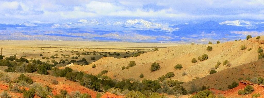homepage-desertscene